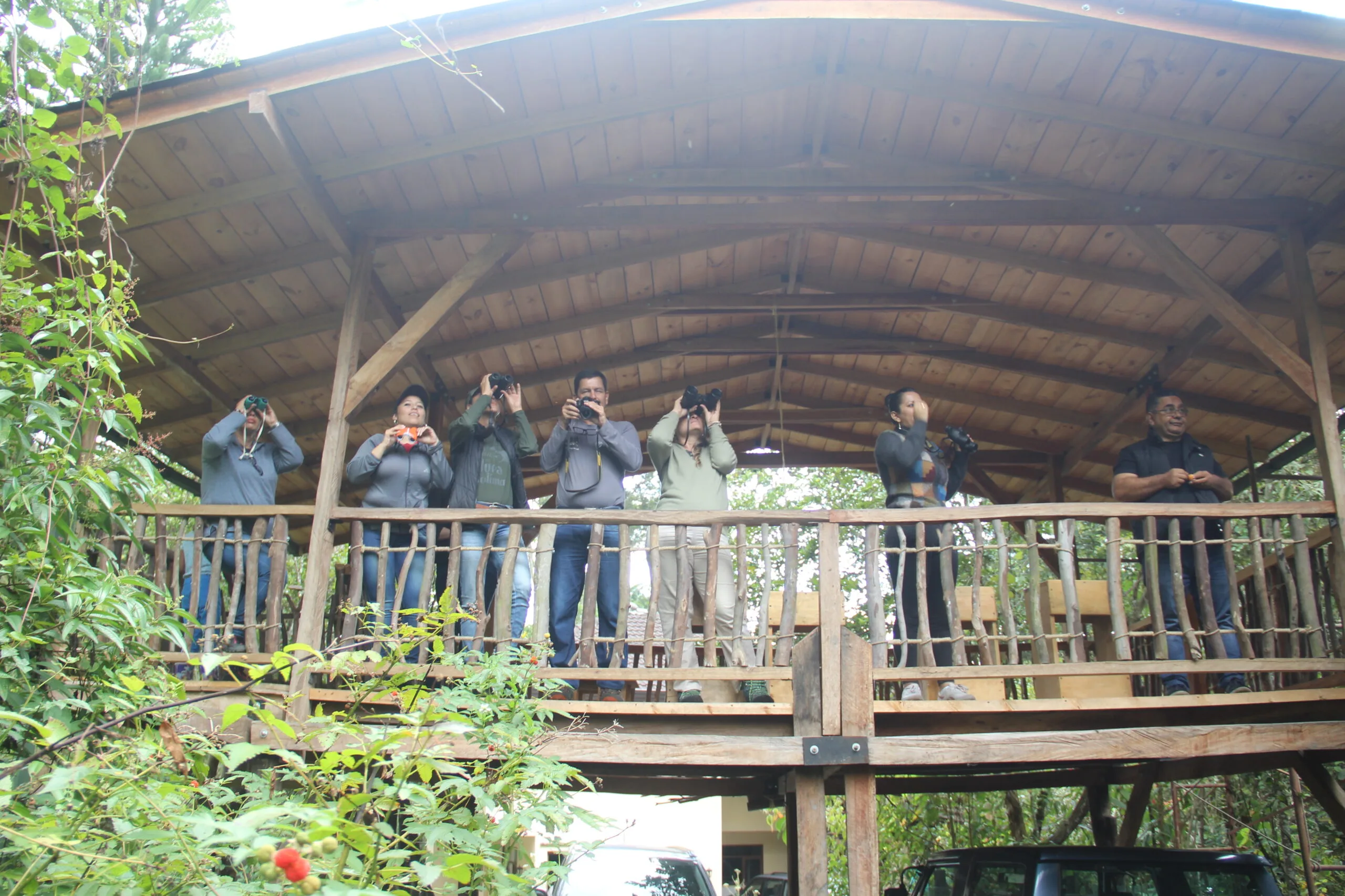 Avistadores de aves