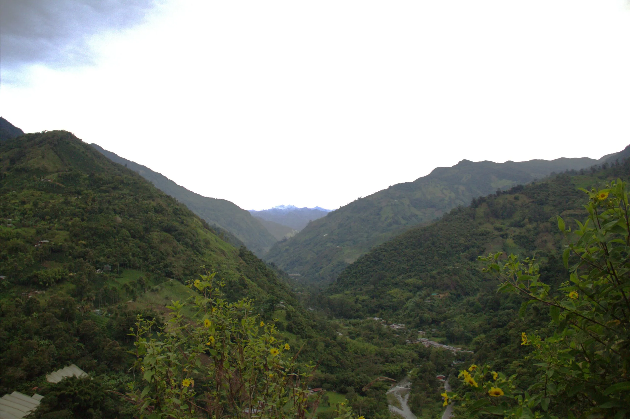 Cañón del combema